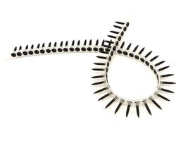 Snelbouwschroef op Band 3,9x45mm 20x50st