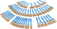 50 Delige Wegwerp Schilders Verfkwasten Set
