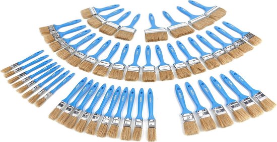 50 Delige Wegwerp Schilders Verfkwasten Set