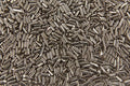 RVS Polijststiften 1 Kg - 2,5 mm