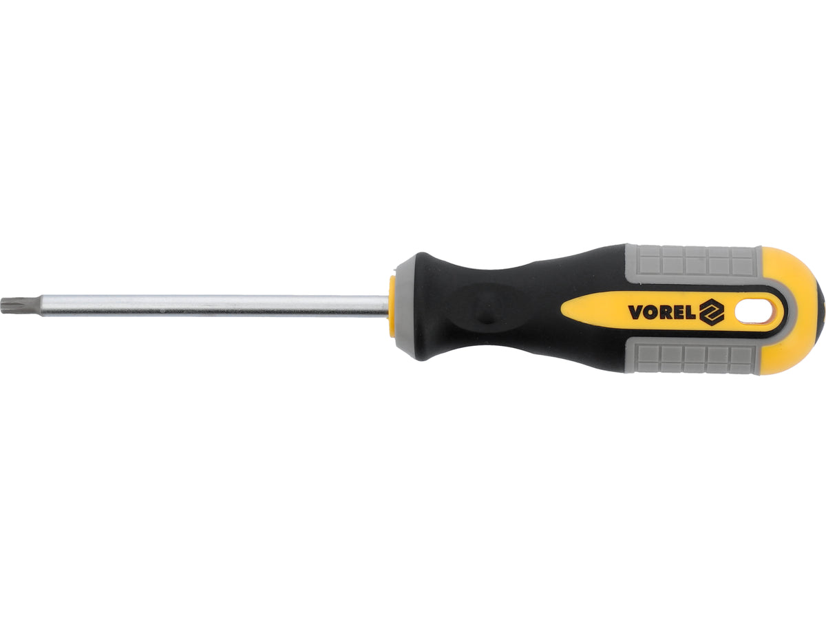 Torx-Schroevendraaier T10x100 MM CRV