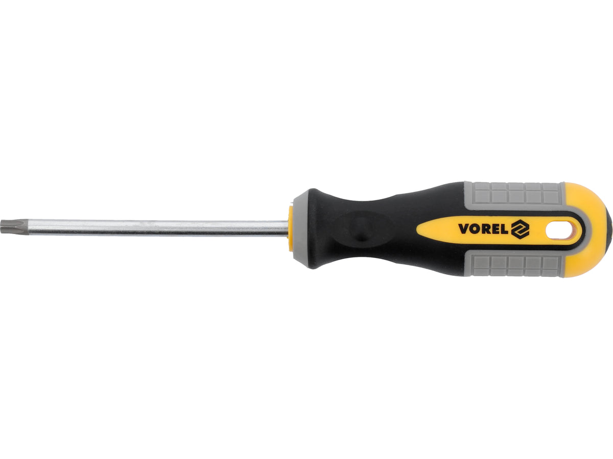 Torx-Schroevendraaier T30x100 MM CRV
