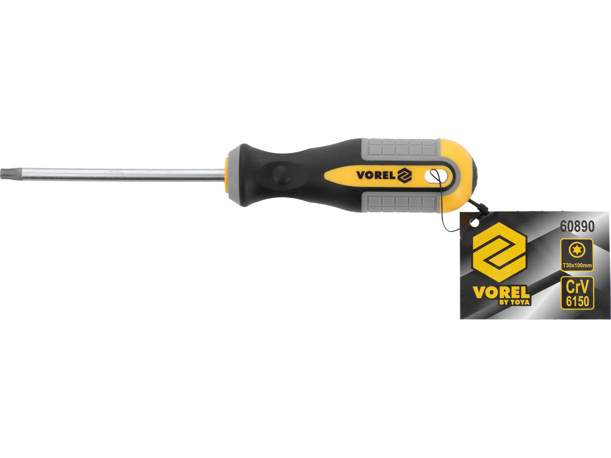 Torx-Schroevendraaier T30x100 MM CRV