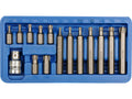 Speciale Torx Sleutels T20-T55, 15 St.