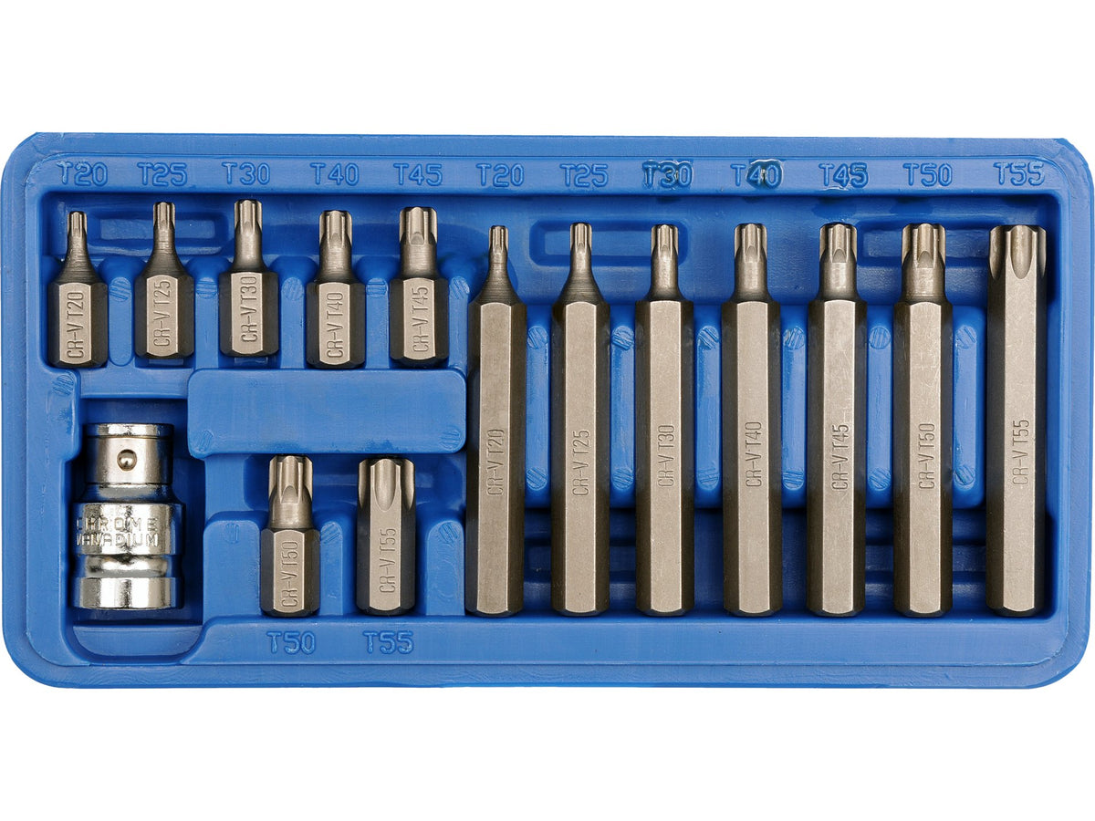 Speciale Torx Sleutels T20-T55, 15 St.
