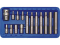 Speciale Inbussleutels H4-H12, 15 St.