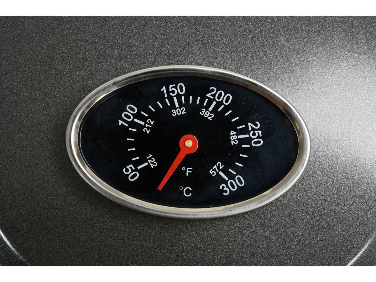 Elektrische Grill 2000-2400W
