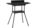 Elektrische Grill, Staand 2200W 50 X 25CM