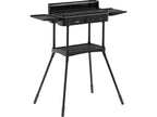 Elektrische Grill, Staand 2200W 50 X 25CM