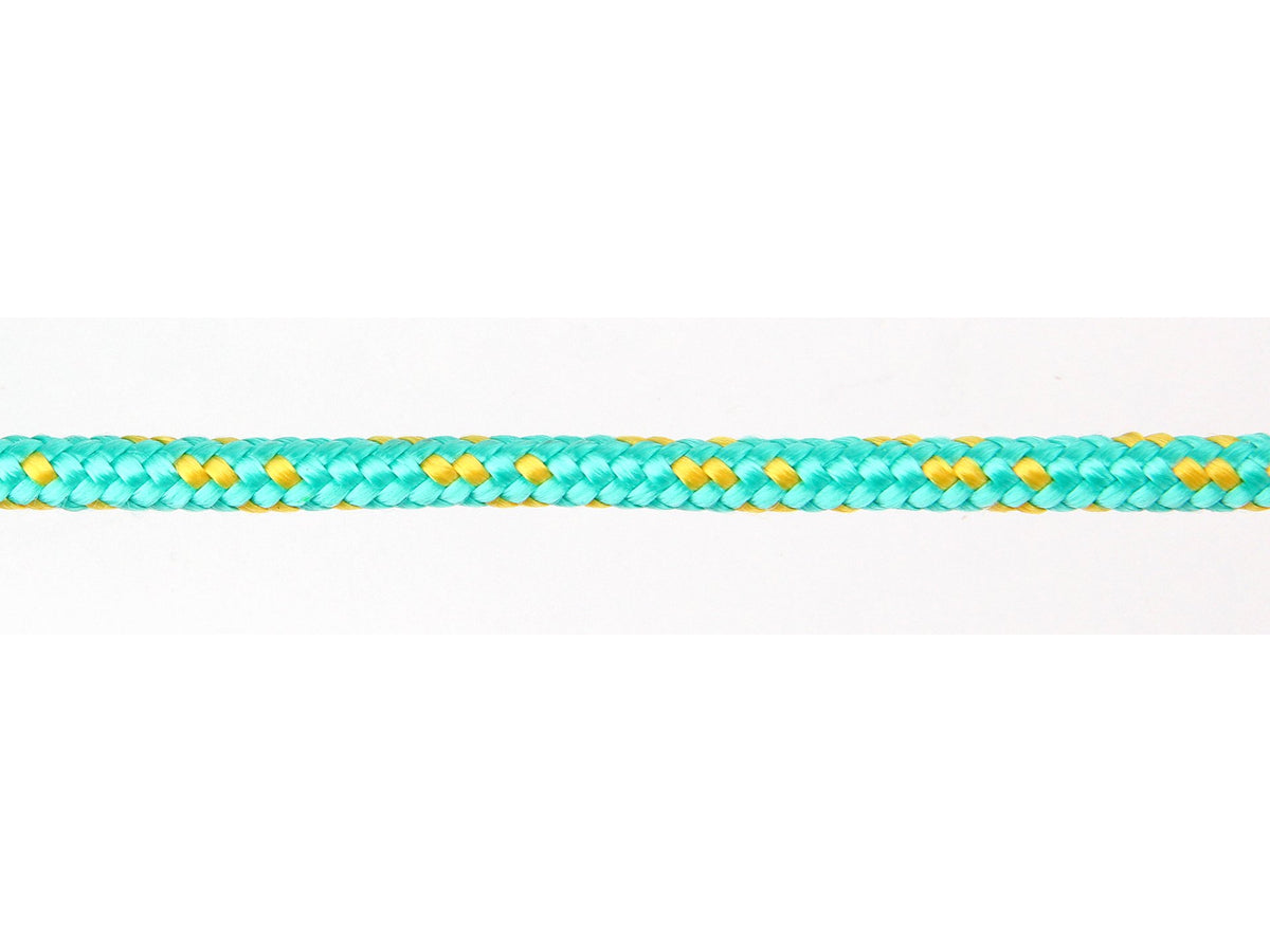 Geplaatst Pp Touw 10MM 200M