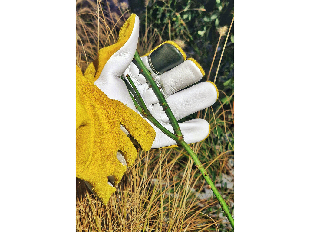 Tuinhandschoenen Voor Rozen Maat 10