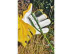 Tuinhandschoenen Voor Rozen Maat 10
