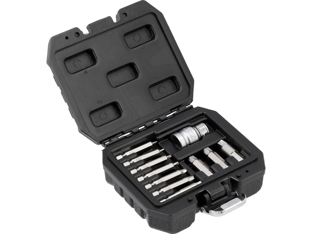 Set Bits Voor Bewerkte Schroeven