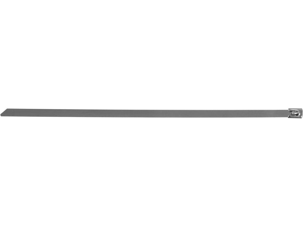 Roestvrij Stalen Klemmen 4,6X250MM 100ST.