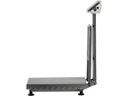 Elektronische Platformweegschaal 300KG/50G