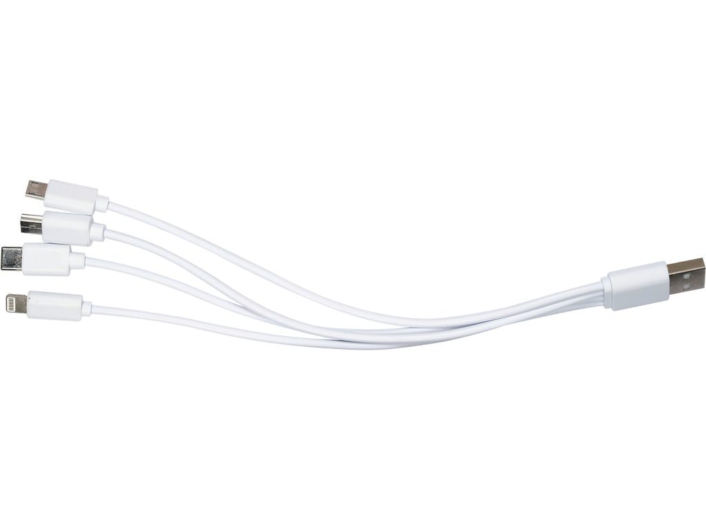 Startapparaat/Powerbank 16000MAH Met Lcd-Display En Inductief Opladen