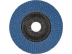 Tandwiel Voor Schuren Inox P40 125MM (1 Stuk) Blauw