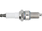 Bougie 19MM