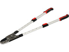 Ratchet/Telesk/Al Onderdelen Snoeischaar