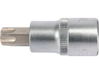 Torx Slotsleutel 1/2'' T55 L55MM