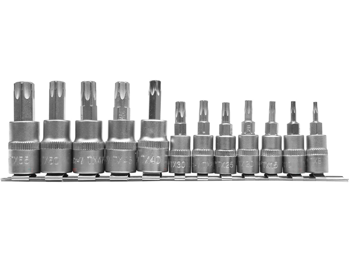 Set Torx-Sleutels Op 12-DELIGE Rail.