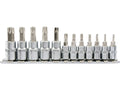 Torx Secur Sleutels Set. Op Een 12-DELIGE Rail.