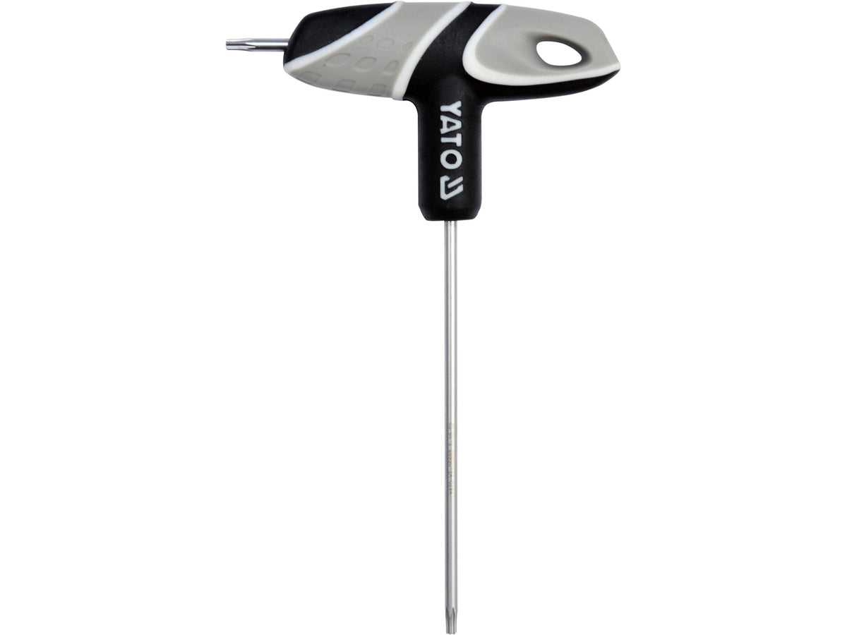 Torx Lock Slotsleutel Met T10 Handvat