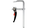 Stalen Ratelklem 250 X 100 MM Type F, Strip 19,5 X 9,5 Mm, Verchroomd, Snel Verstelbaar