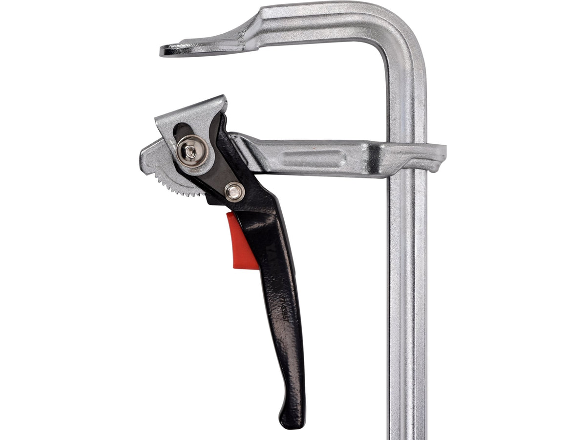 Stalen Ratelklem 800 X 120 MM F-Type, Strip 27,0 X 13,0 Mm, Verchroomd, Snelle Verstelling