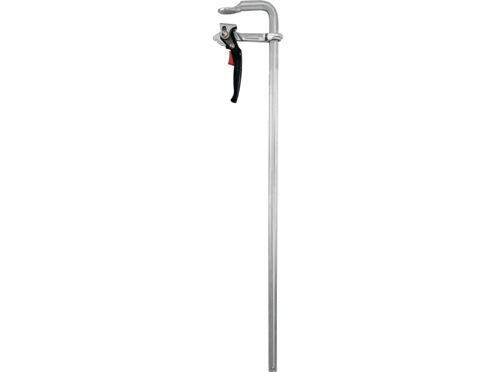Stalen Ratelklem 1000 X 120 MM F-Type, Strip 27,0 X 13,0 Mm, Verchroomd, Snelle Verstelling