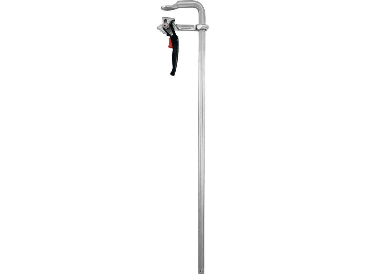 Stalen Ratelklem 1000 X 120 MM F-Type, Strip 27,0 X 13,0 Mm, Verchroomd, Snelle Verstelling