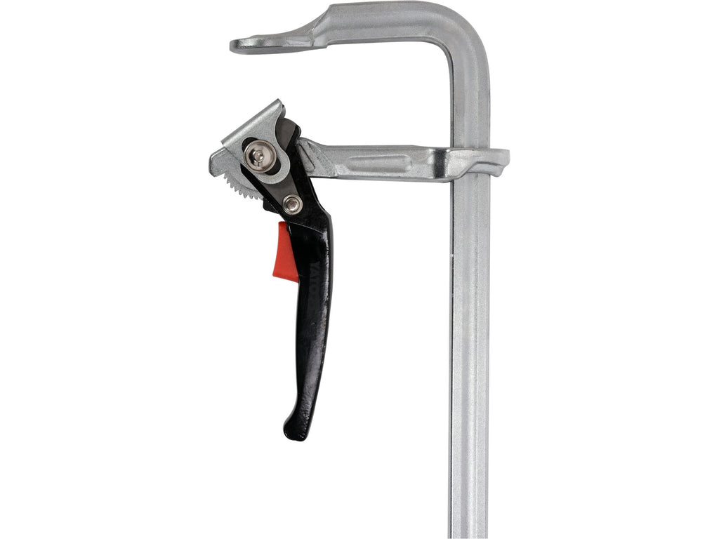 Stalen Ratelklem 1000 X 120 MM F-Type, Strip 27,0 X 13,0 Mm, Verchroomd, Snelle Verstelling