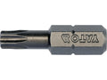 Bits 1/4''X25MM Torx T25 10 St